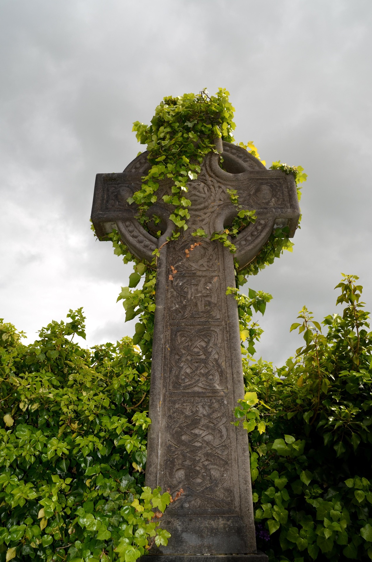 Celts / Romans